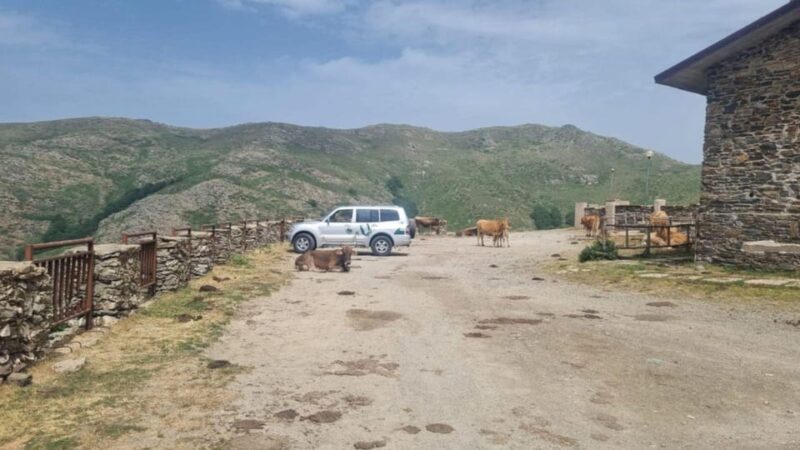 From Arbatax: Barbagia jeep tour and lunch at the shepherd's - Who Should Consider This Tour?  