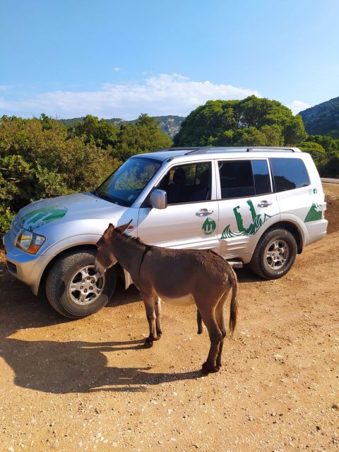 From Arbatax: Half Day Jeep Tour on Golgo Plateau - Booking Information