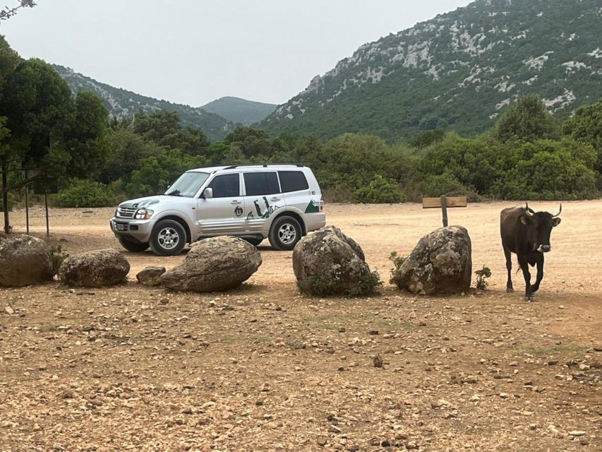 From Arbatax: Half Day Jeep Tour on Golgo Plateau - Preparation and Restrictions