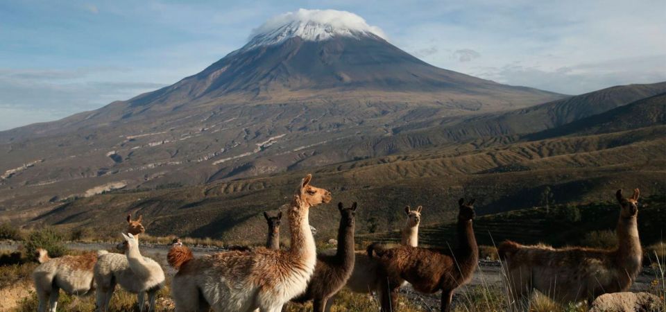 From Arequipa: 2-Day Excursion to Misti Volcano - Detailed Itinerary