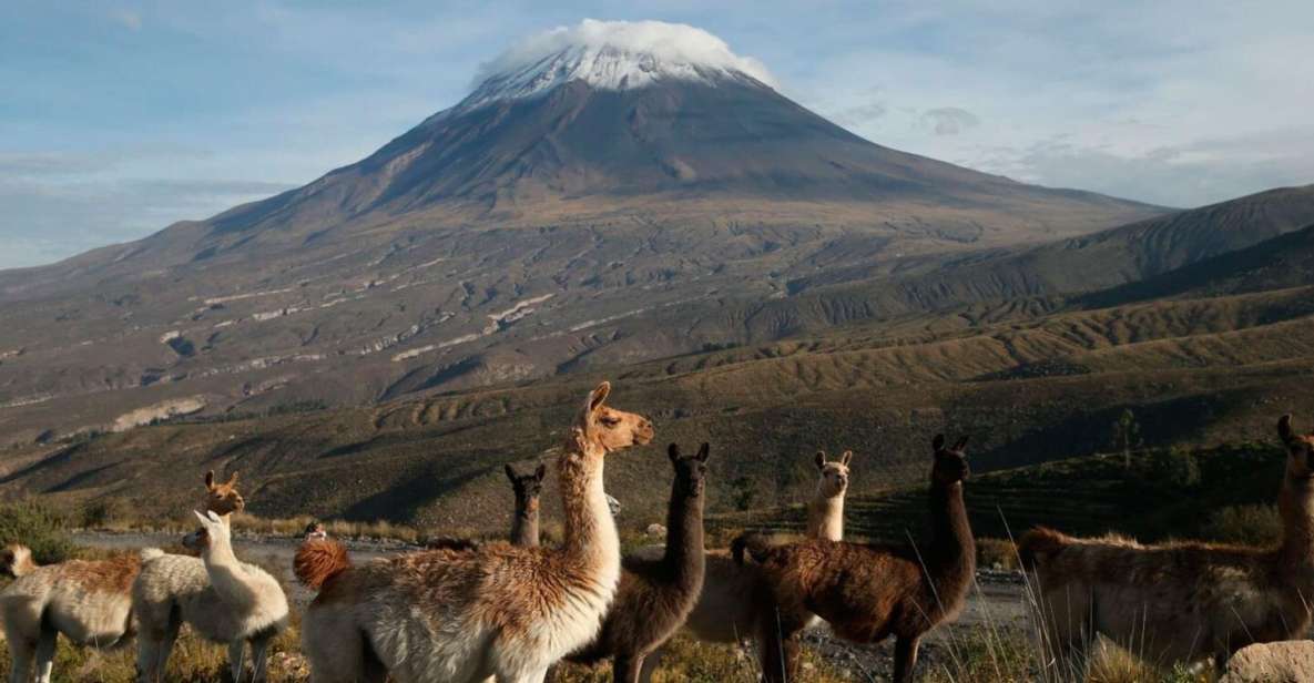 From Arequipa: 2-Day Excursion to Misti Volcano - Inclusions of the Tour