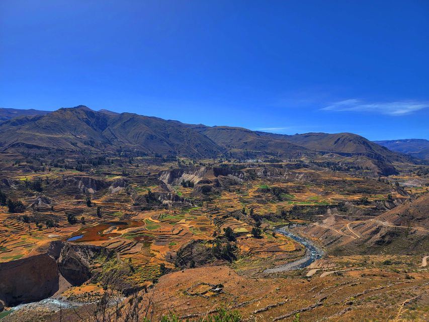 From Arequipa: 2 Day Tour Colca Canyon Ending in Puno - Inclusions and Optional Add-Ons