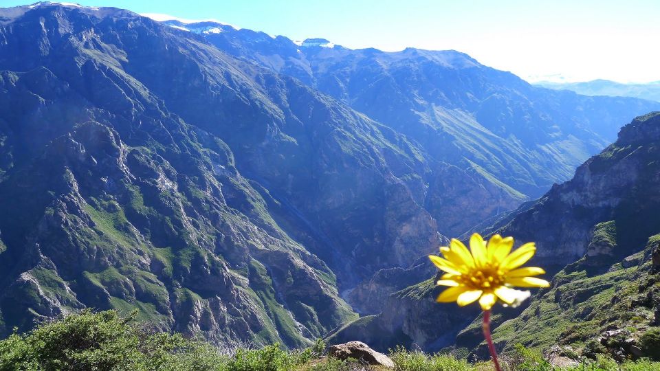 From Arequipa: 3-day Colca Canyon Hike Tour Adventure - Recap