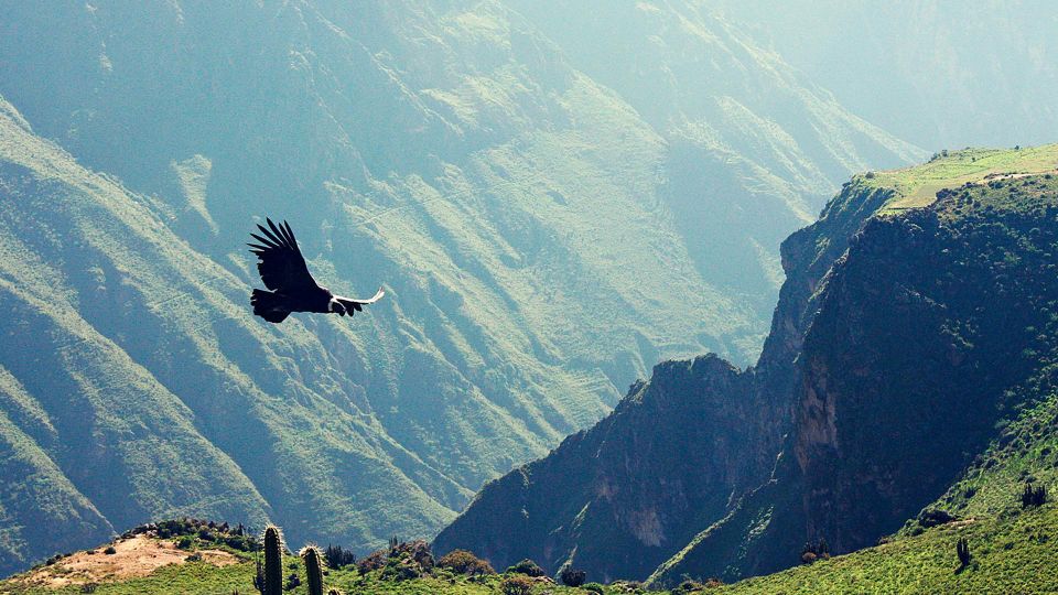 From Arequipa | Chivay and Colca Canyon Full Day Tour - Itinerary Highlights