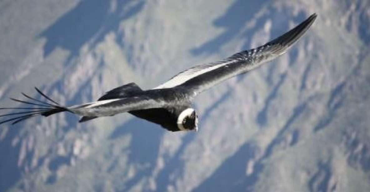 From Arequipa: Colca Canyon 2-Days Tour With Accommodation - Day 1: Arequipa - Chivay-Yanque