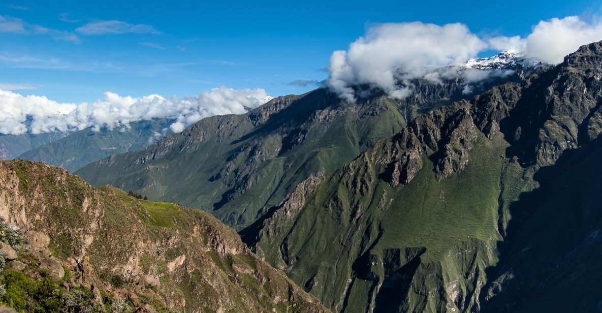 From Arequipa: Colca Canyon & La Calera Thermal Waters - Key Points