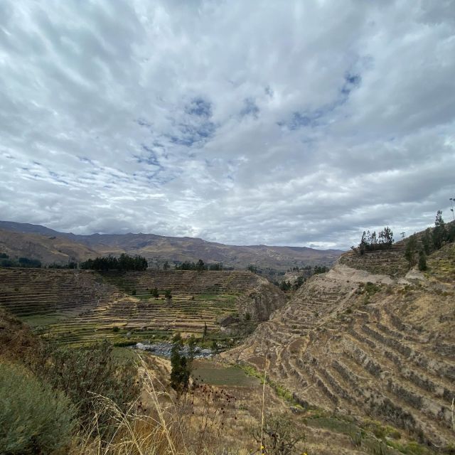From Arequipa: Colca Canyon & La Calera Thermal Waters - Customer Reviews and Ratings