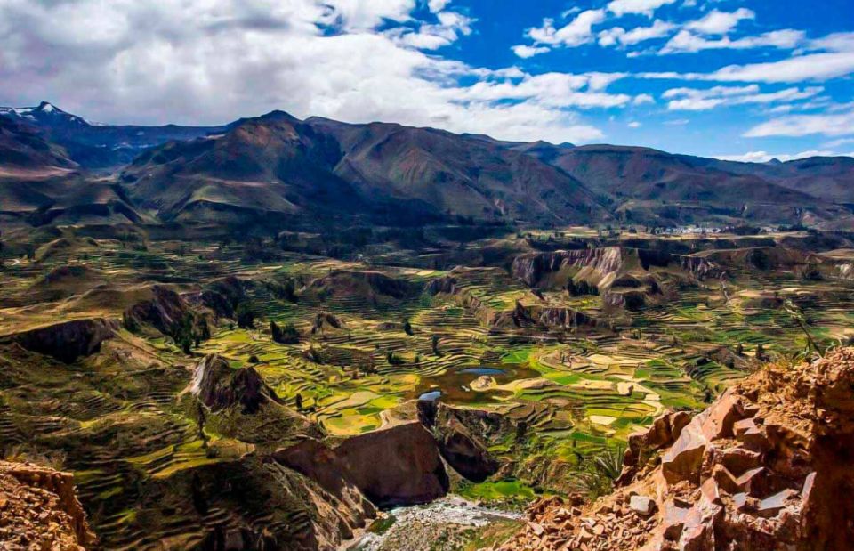 From Arequipa: Colca Canyon Tour 1 Day and Transfer to Puno - Key Points