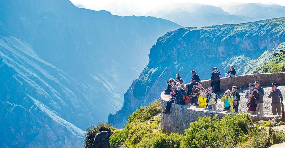 From Arequipa: Colca Canyon Tour 1 Day and Transfer to Puno - Itinerary Highlights