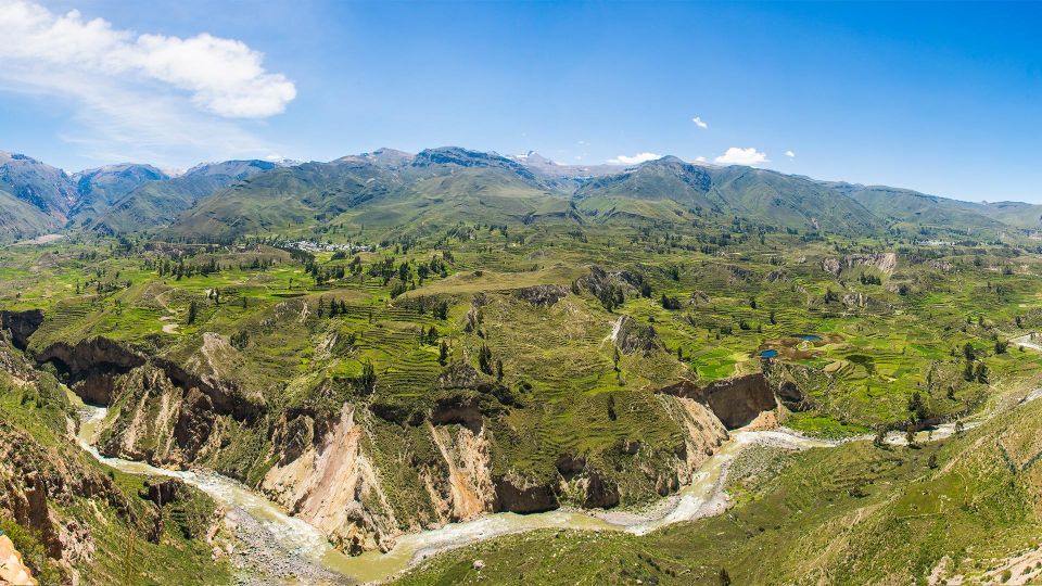 From Arequipa: Colca Canyon Tour 2 Day and Transfer to Puno - Itinerary Highlights