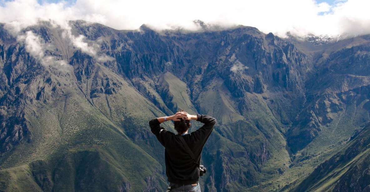 From Arequipa: Day Trip to the Colca Canyon - Itinerary Highlights