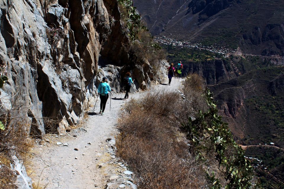 From Arequipa: Excursion to the Colca Canyon | 2 Days - What to Expect
