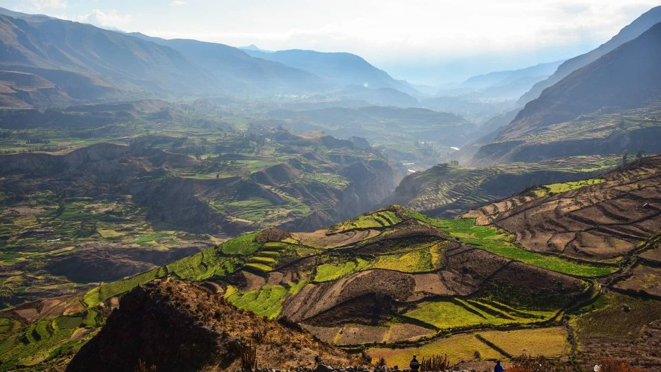 From Arequipa: Excursion to the Colca Canyon Ending in Puno - Customer Reviews and Feedback