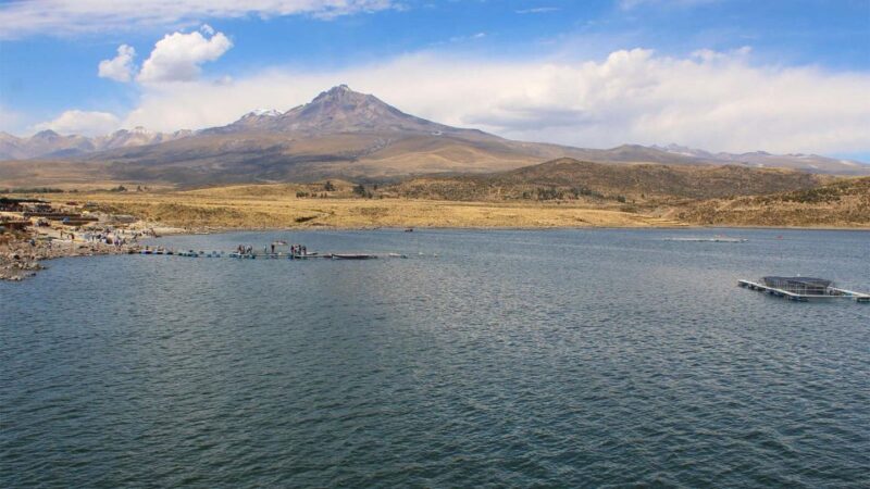 From Arequipa: Loncco Route Tour || Full Day || - Itinerary Details