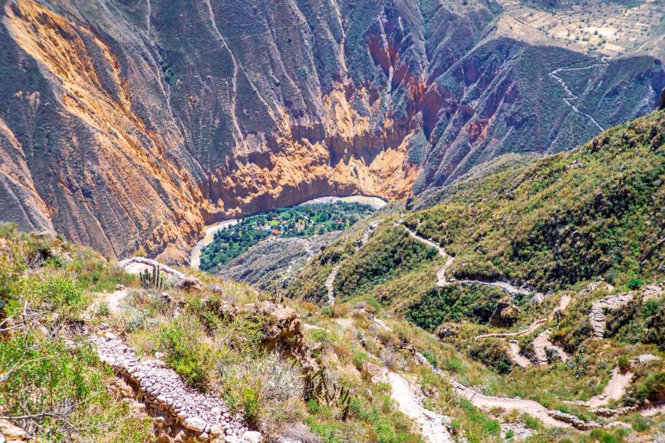 From Arequipa: Trekking to the Colca Canyon |2Days-1Night| - Key Points