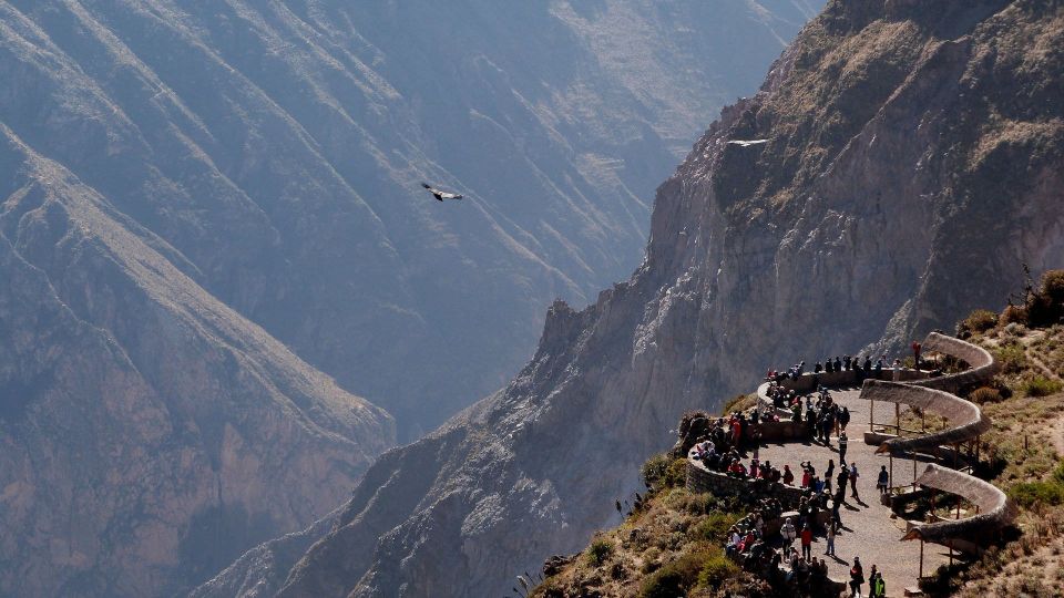 From Arequipa: Trekking to the Colca Canyon |2Days-1Night| - Early Morning Hike