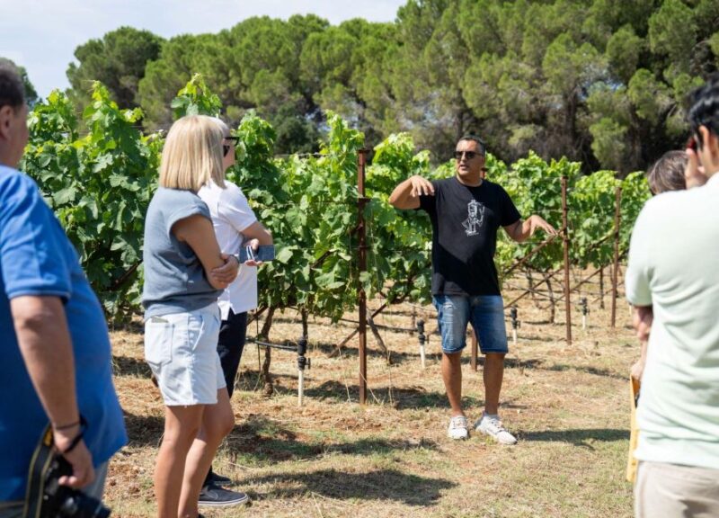From Argostoli: Private Wine Tasting & Vineyard Tour - Wineries and Production Methods