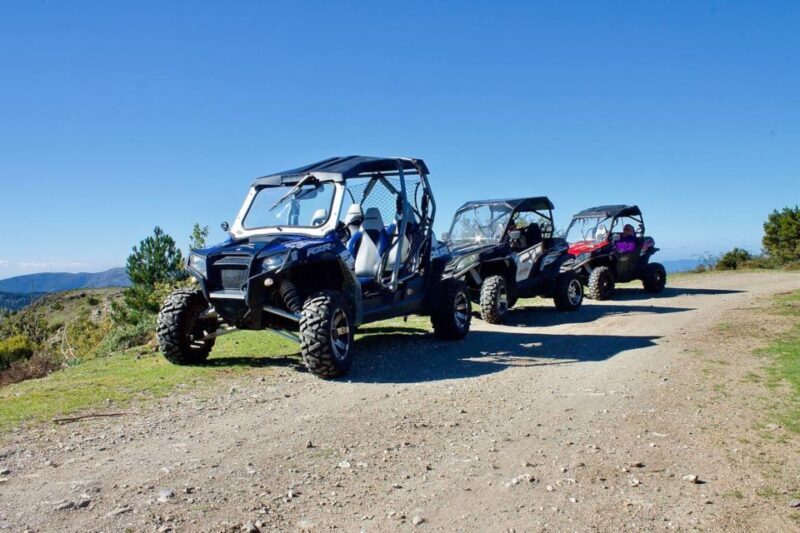 From Aritzo: buggy tour on Gennargentu - Final Thoughts