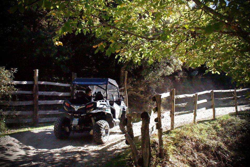 From Aritzo: Gennargentu Mountains Buggy Tour With Trek - Hike in the Mountains
