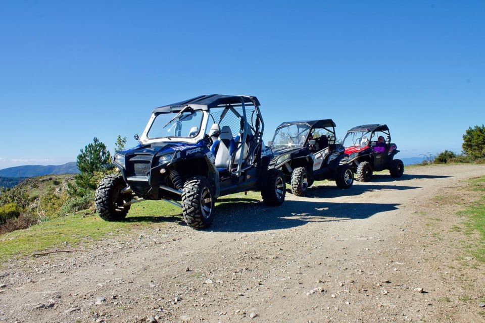 From Aritzo: Gennargentu Mountains Buggy Tour With Trek - Wildlife Sightings