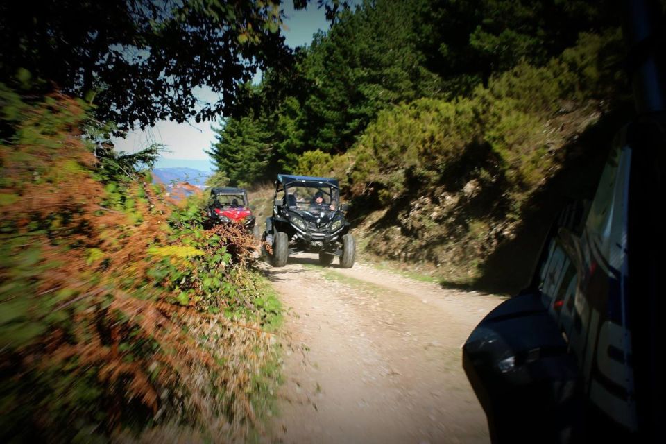 From Aritzo: Gennargentu Mountains Buggy Tour With Trek - Frequently Asked Questions