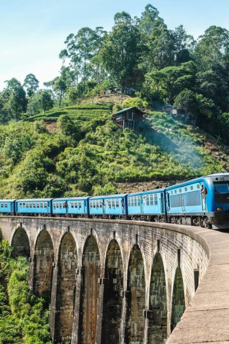 From Arugambay / Kumana Day Trip to Experience Ella - Scenic Train Ride