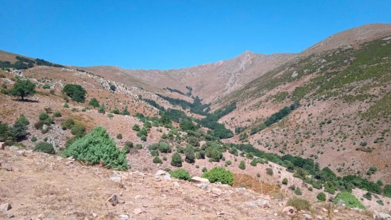 From Arzana: trekking to Punta La Marmora with aperitif - An In-Depth Look at the Tour