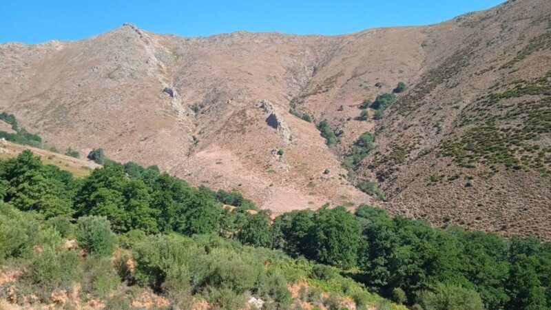 From Arzana: trekking to Punta La Marmora with aperitif - The Experience’s Value and Who It’s Best For