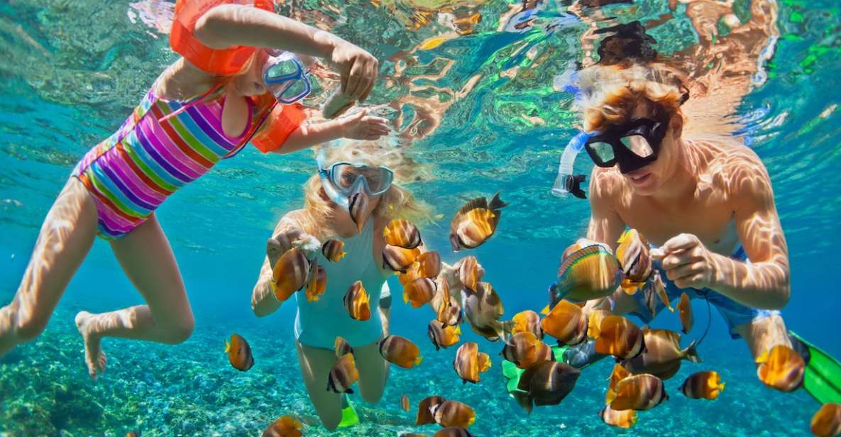 From Asia Marina Pier: Full-Day Phi Phi & Khai Island Trip - Trip Highlights