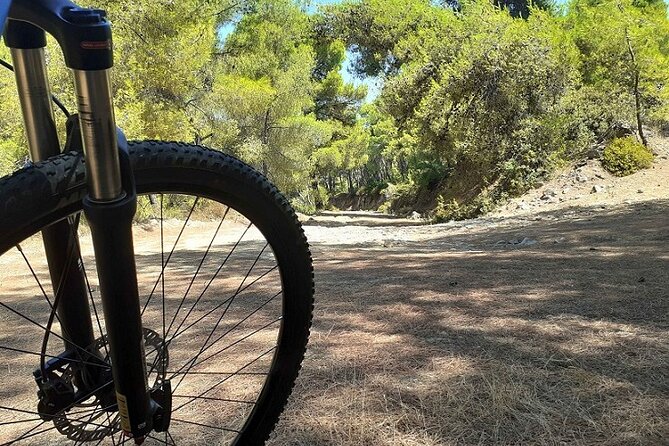 From Athens: Aegina Island E-Bike & Walking Day Tour - Tour Overview