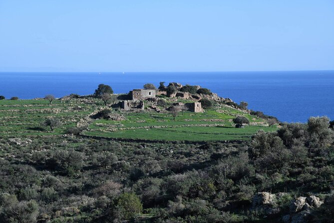 From Athens: Aegina Island E-Bike & Walking Day Tour - Exploring Aegina Island