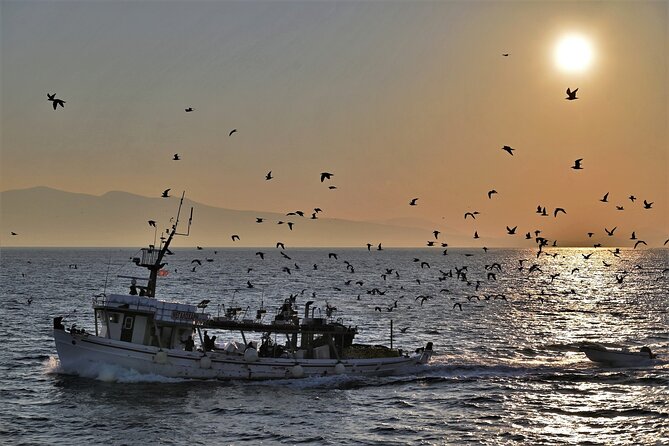 From Athens: Aegina Island E-Bike & Walking Day Tour - The Sum Up