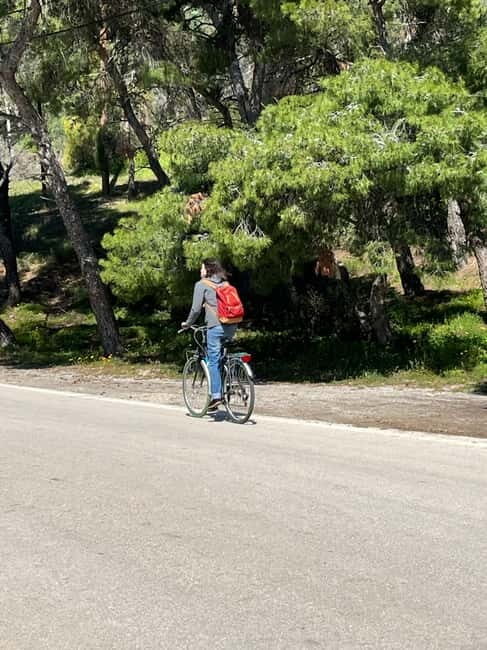 From Athens: Bike & Island Full-Day Tour to Poros - Key Points