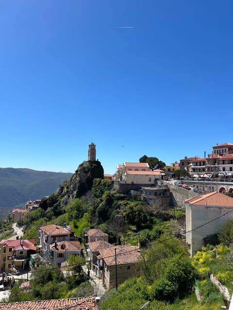 From Athens: Delphi and Arachova Private Tour - Authentic Reviews and Practical Insights