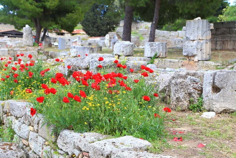 From Athens: Explore Ancient Corinth & Charming Nafplion - Authentic Experiences and Travel Tips