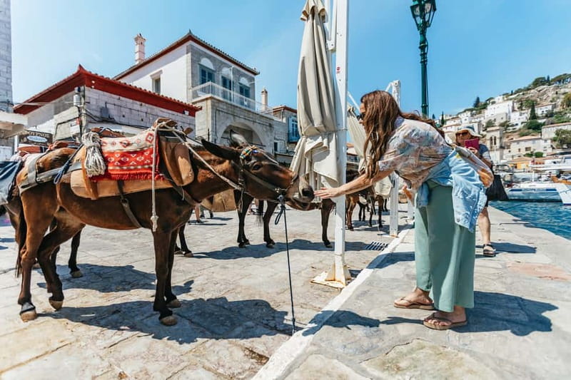 From Athens: Hydra, Poros & Aegina Island Cruise with Lunch - Key Points