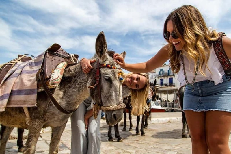 From Athens: Hydra, Poros & Aegina Island Cruise with Lunch - Setting the Scene: What to Expect on This Greek Island Cruise
