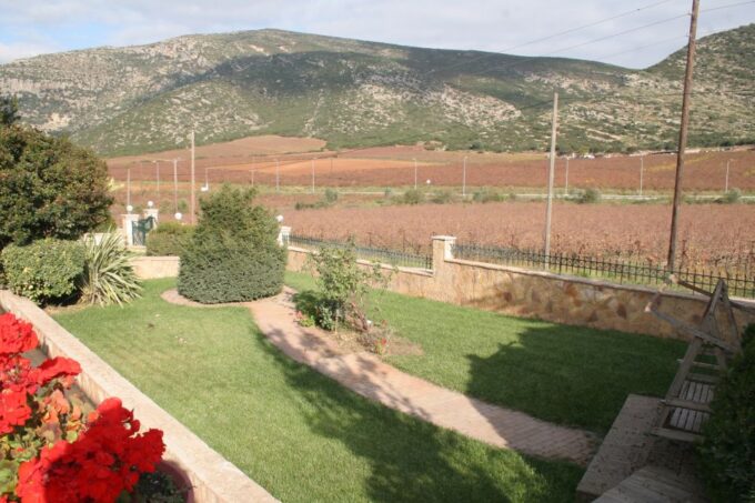 From Athens: Nemea & Nafplio Private Wine and History Tour - Inclusions and Recommendations