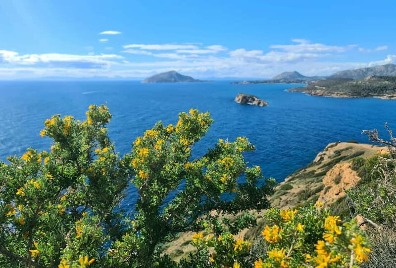 From Athens: Temple of Poseidon & Cape Sounion Half-Day Tour - An In-Depth Look at the Experience