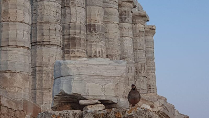 From Athens: Temple of Poseidon Private Couples Trip - The Authentic Greek Experience