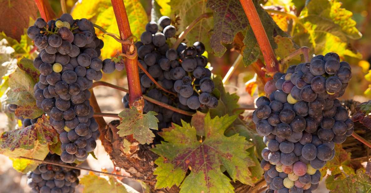 From Atlanta: Half-Day or Full-Day Wine Country Tasting Trip - Exclusions