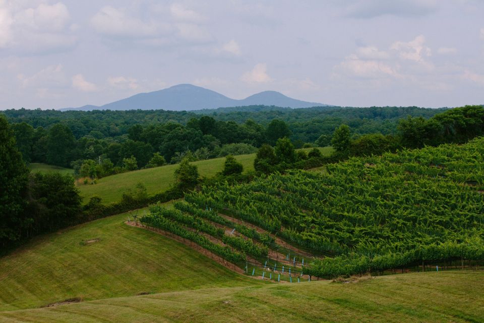 From Atlanta: Half-Day Wine Country Tour - Wine Tastings