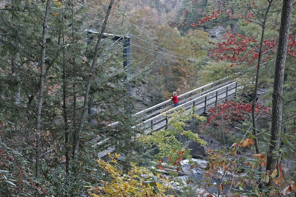 From Atlanta: Tullulah Falls Slingshot Self Guided Tour - Frequently Asked Questions
