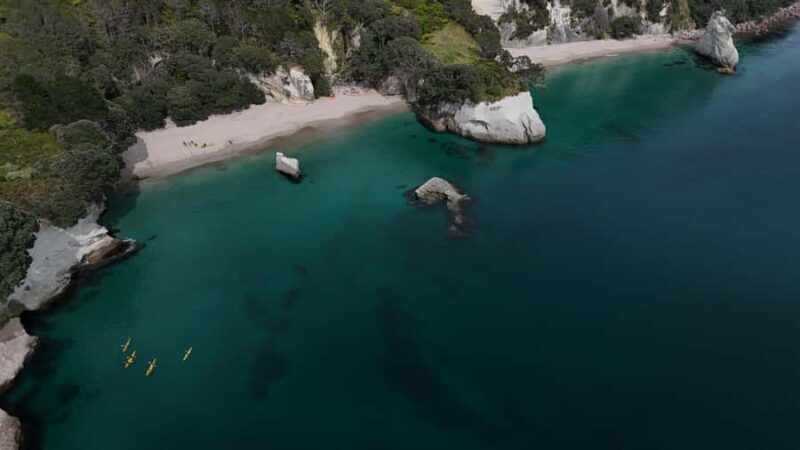 From Auckland: ALDERMAN ISLANDS (Ruamaahu) Day Trip - Practical Tips for Travelers