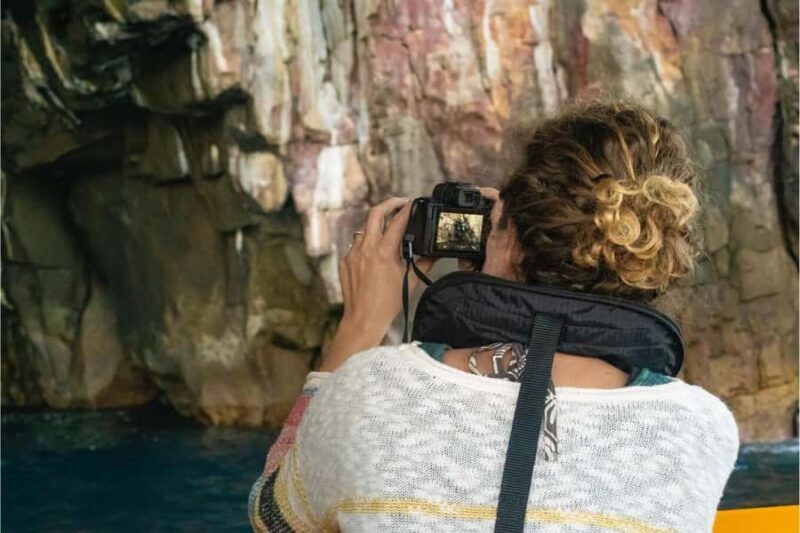 From Auckland: ALDERMAN ISLANDS (Ruamaahu) Day Trip - The Sum Up