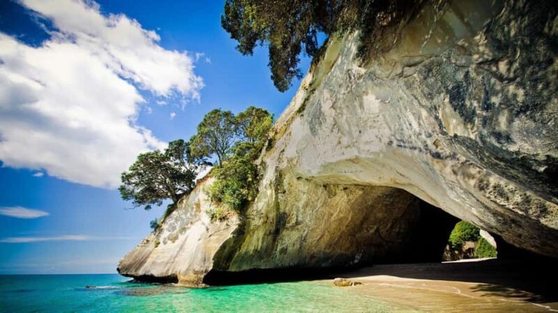 From Auckland: Cathedral Cove & Hot Water Beach Tour - Key Points