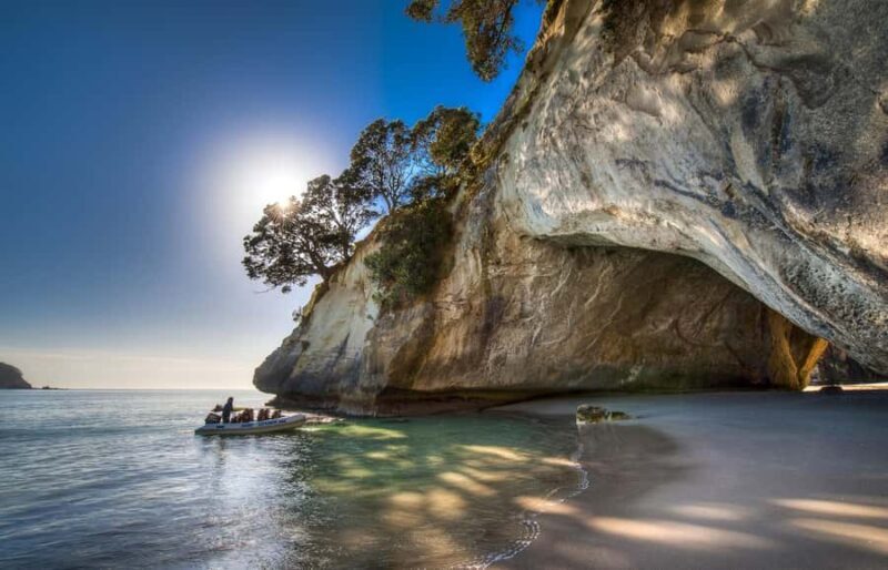 From Auckland: Cathedral Cove & Hot Water Beach Tour - A Detailed Look at the Day Trip Experience