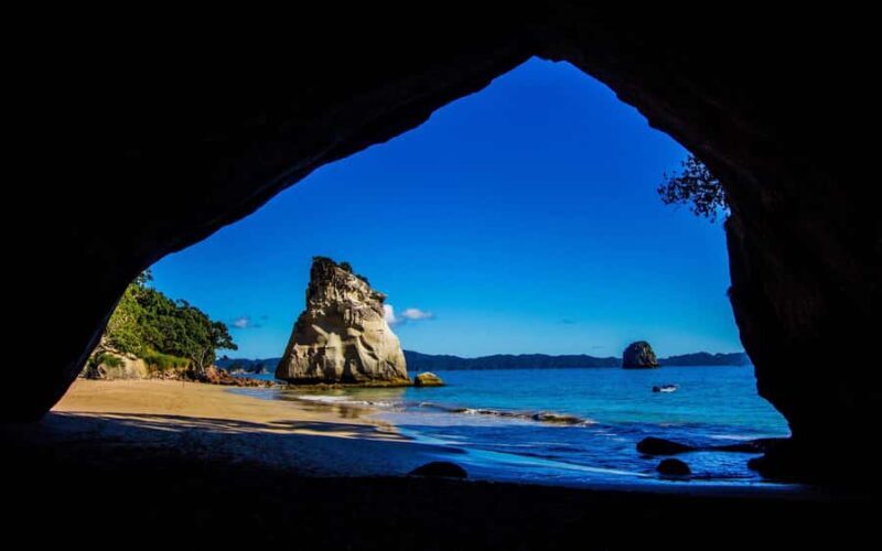 From Auckland: Cathedral Cove & Hot Water Beach Tour - Authentic Feedback from Past Travelers