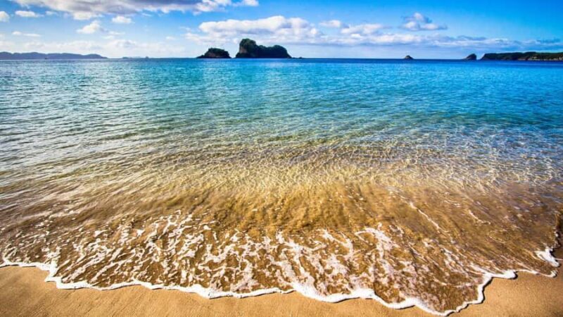 From Auckland: Cathedral Cove & Hot Water Beach Tour - Final Words