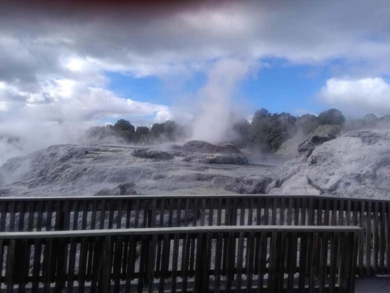 From Auckland: Day Trip to Rotorua with Optional extras - A Practical Guide to the Rotorua Day Trip